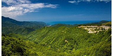 Rize Travel Guide
