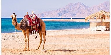 Hurghada Travel Guide